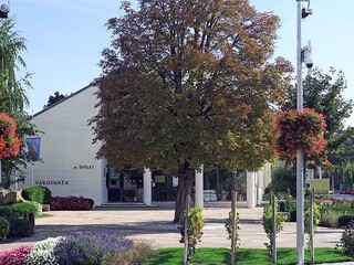 városháza balatontipp-Győrffy Árpád