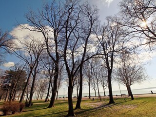 fa balatonfüred
