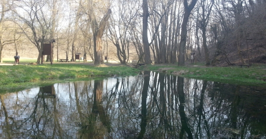 Koloska-völgy