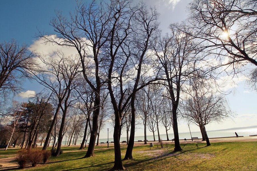 fa balatonfüred