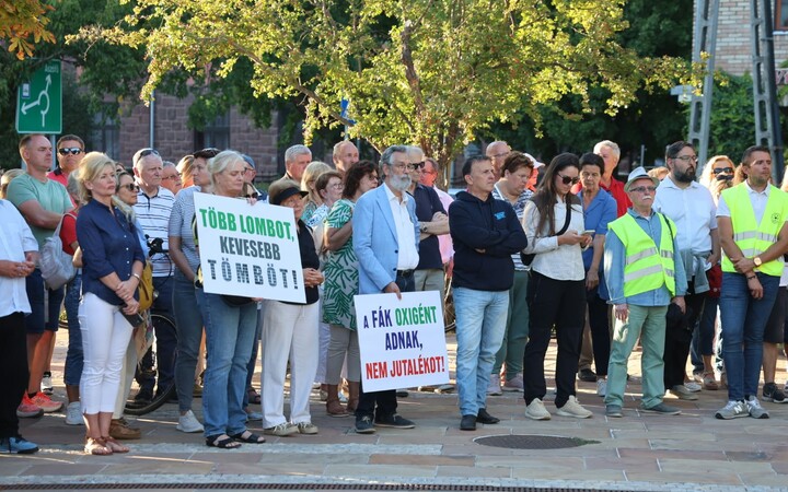 Füred demonstráció