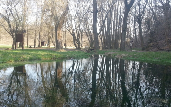 Koloska-völgy