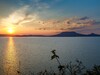 Balaton MTI